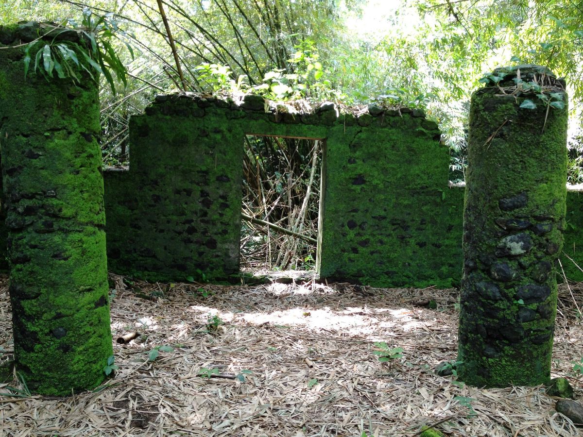 Bimbia ruins with moss